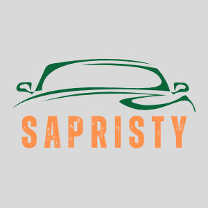 Sapristy logo sapristy, lavage voiture à domicile, professionnel, detailling